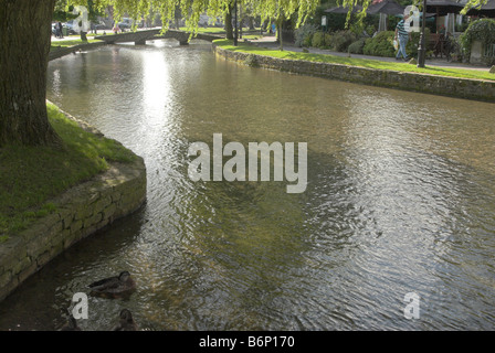 Der River Windrush fließt durch den malerischen Cotswold Dorf von Bourton-on-the-Water, Gloucestershire. Stockfoto