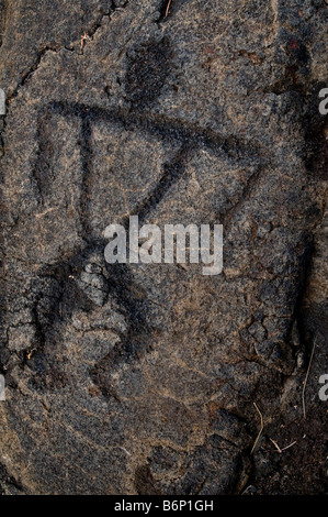 Petroglyph eines Mannes in Pu'u Loa Hawaii in der Nähe von Volcano National Park. Stockfoto