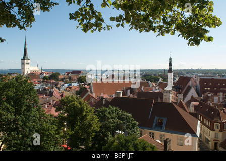 Panoramablick vom Toompea Hill Tallinn Estland Stockfoto