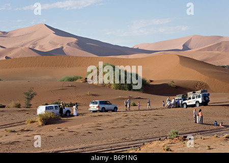 Stau in der Namib Wüste Namib Naukluft Nationalpark Namibia Stockfoto