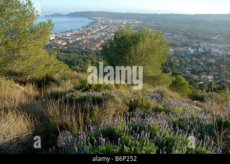 Blick von La Plana, mit Lavendel in f/g, über Bucht Cap Prim, Javea / Xabia, Provinz Alicante, Comunidad Valenciana, Spanien Stockfoto