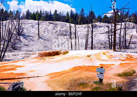 Bild suchen Angel Terrace und den Park Schild mit es in Mammoth Hot Springs im Yellowstone-Nationalpark Stockfoto