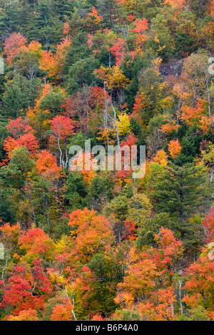 Herbstfarben von Vermont 6. Oktober 2008 Stockfoto