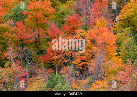 Herbstfarben von Vermont 6. Oktober 2008 Stockfoto