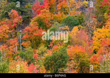 Herbstfarben von Vermont 6. Oktober 2008 Stockfoto