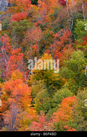 Herbstfarben von Vermont 6. Oktober 2008 Stockfoto