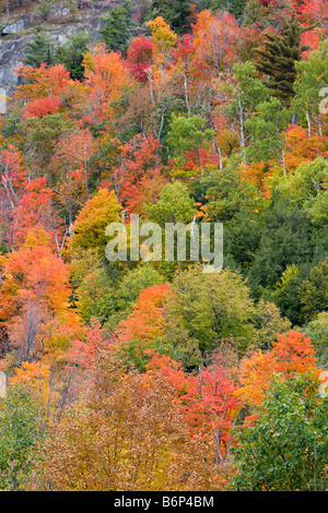 Herbstfarben von Vermont 6. Oktober 2008 Stockfoto