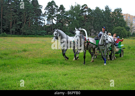 Troika, russische traditionelle Pferd Team fahren, Moscow Region, Russland Stockfoto