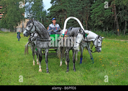 Troika, russische traditionelle Pferd Team fahren, Moscow Region, Russland Stockfoto