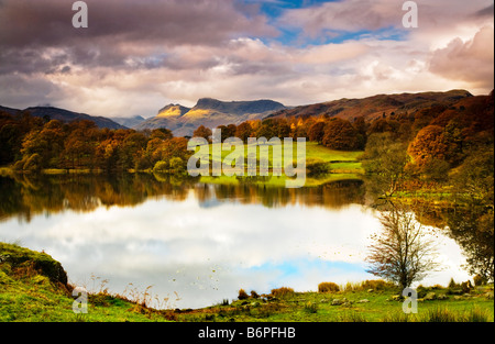 Herbstliche Aussicht über Loughrigg Tarn Lake District National Park Cumbria England UK mit Langdale Pikes in der Ferne Stockfoto