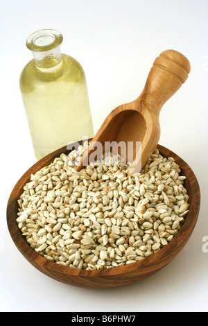 Distelöl Carthamus tinctorius Stockfoto