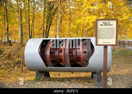 Schwein-Wäscher-Anzeige in Alyeska Pipeline Visitor Center in Fairbanks, Alaska Stockfoto