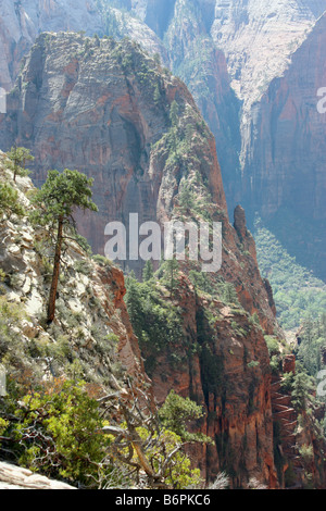 Blick auf Angel es Landing aus West Rim Trail über Scouts Landing, Zion Nationalpark Stockfoto