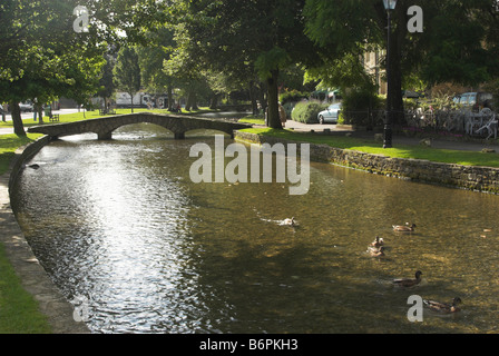 Der River Windrush fließt durch den malerischen Cotswold Dorf von Bourton-on-the-Water, Gloucestershire. Stockfoto