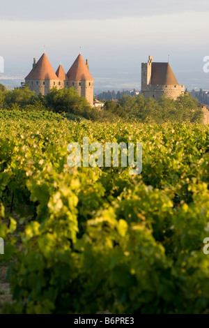 La Cité Carcassonne mit Weinreben im Vordergrund Stockfoto