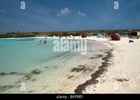 Die beliebten touristischen Schnorcheln Website Baby Beach Aruba Stockfoto