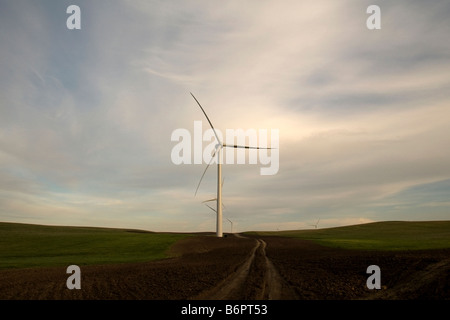 Shiloh Windkraft-Projekt in der Nähe von Rio Vista Kalifornien Vereinigte Staaten Stockfoto