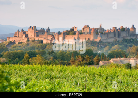 Blick auf Schloss La Cite in Carcassonne, Frankreich Stockfoto