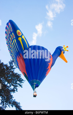 Blauer Pfau-Heißluftballon Barneveld Ballon Festival 2008, Holland Stockfoto