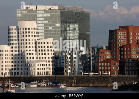 Moderne Architektur im Stadtzentrum von Düsseldorf am Fluss Rhein, Deutschland Stockfoto