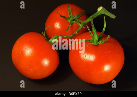 Tomaten auf schwarzem Hintergrund Stockfoto