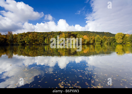herbstliche Wald Mirrord an einem See im Palace Boden Greiz, Deutschland, Thüringen, Greiz Stockfoto