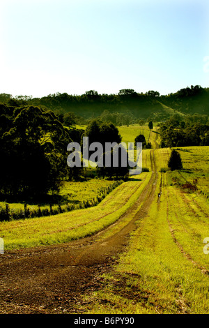 Landstraße führt in den Westen in New South Wales Australien Stockfoto