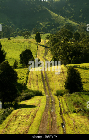 Landstraße führt in den Westen in New South Wales Australien Stockfoto