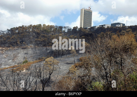 Israel Haifa Carmel Berg tobt Waldbrand in der Nähe von Wohngebiet Universität Haifa im Hintergrund Stockfoto