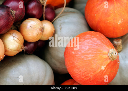 Ein Herbst-Display auf einen Bauernmarkt der braunen und roten Zwiebeln, Ironbark und Golden Nugget Squash Stockfoto