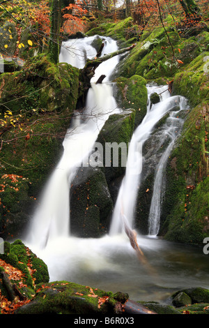 "Stockghyll Force" Wasserfall in der Nähe von Ambleside, englischen Lake District, Cumbria. Stockfoto