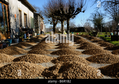 Stock Foto von Berge von Kies alle festgelegten bereit legen als Deckung für eine Terrasse Stockfoto
