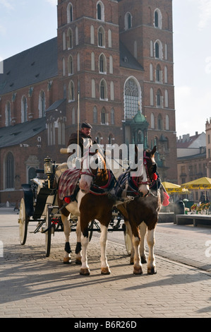 Pferd und Wagen St. Marys Kirche Krakau Polen Stockfoto