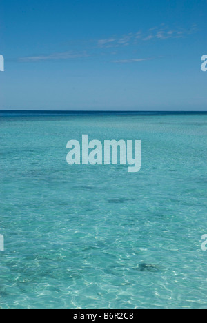 Klaren seichten Türkis farbigen Wasser über einem Korallenriff und blauer Himmel, auf den Malediven. Stockfoto