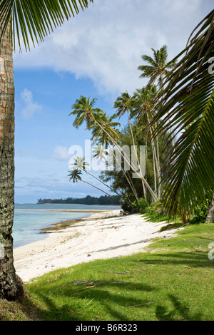 Raratonga Cook Inseln Strand Stockfoto