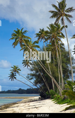 Raratonga Cook Inseln Strand Stockfoto