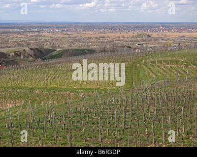 Landschaft mit Weinbergen und Dorf in der Region Kaiserstuhl Baden Württemberg Baden-Württemberg Deutschland Stockfoto