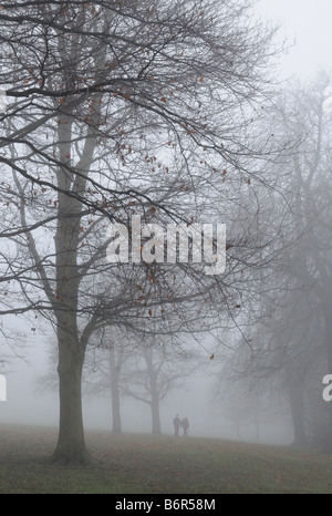 Paare, die unter Bäumen an einem nebligen nebligen Tag im Beacon Park Lichfield Staffordshire England Stockfoto