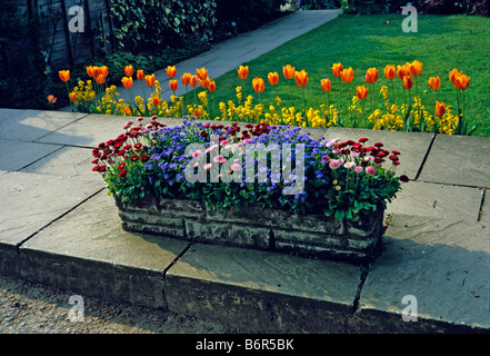 Frühling-Bettwäsche in einem Steintrog auf einer Terrasse im Garten Stockfoto