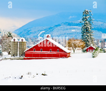 Eine Jahrhunderte alte rote Scheune, umgeben von einer weißen Schneedecke nach einem Winterschnee im nordwestlichen Washington Stockfoto