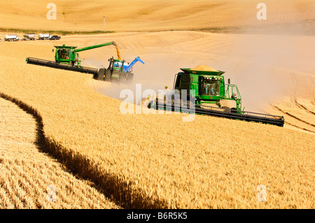 Ein paar verbindet Ernte Getreide während man auf dem Sprung zu einem Korn-Wagen in der Palouse Region Washington entlädt Stockfoto