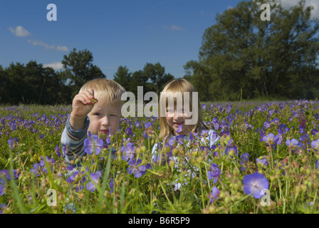 Geschwister, die spielen in einer Blumenwiese im Sommer, Deutschland, Saarland Stockfoto