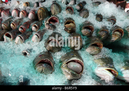 Fisch zum Verkauf an der central Market (Psar Thmei) in Phnom Penh, Kambodscha Stockfoto