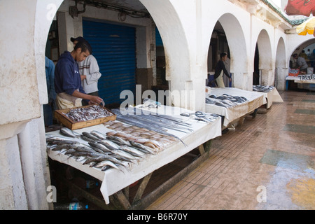 Essaouira Marokko Nordafrika Dezember frisch gefangenen Fisch und Tintenfisch zum Verkauf auf dem Fischmarkt von Medina Stockfoto