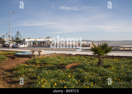 Essaouira Marokko Nordafrika Dezember auf der Suche über einen gepflegten Park in Richtung Strand Seite Café des Badeortes Stockfoto