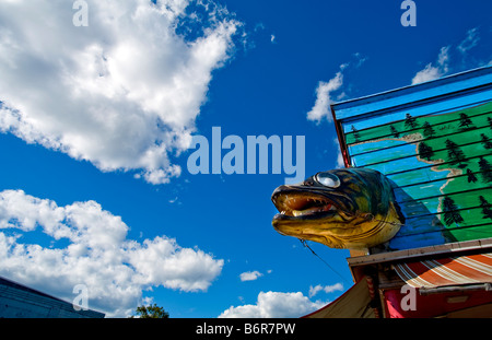 Ein großer Fischkopf auf der Vorderseite ein Köder-Shop in Grand Marais, Minnesota. Stockfoto