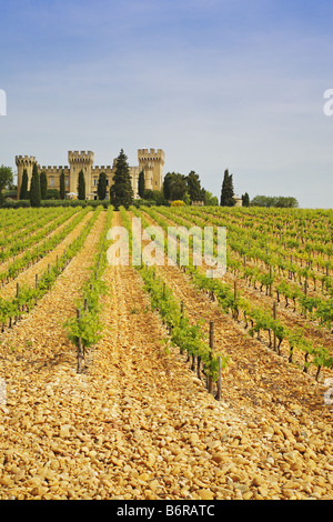 Châteauneuf-du-Pape Weinberge und Burg, Rhône Wein Region, Frankreich Stockfoto