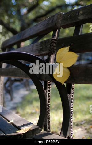 Gefangen in der August-Licht Stockfoto