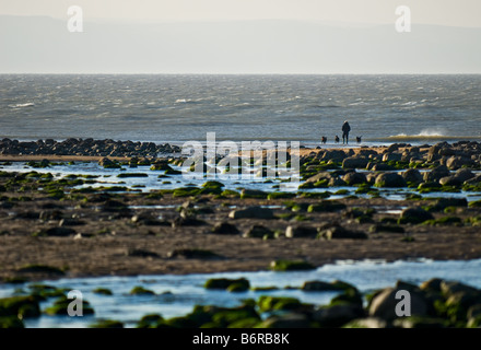 Ein Mann und drei Hunde am Strand in Llantwit Major in Südwales. Stockfoto