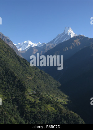 Machapuchare (Fishtail) Berg gesehen von Chhomrong, Annapurna Ausläufern, Gandaki, Himalaya, Nepal, Zentralasien Stockfoto